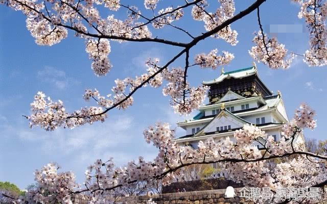 日本要反超泰国?此大招一出中国游客又蠢蠢欲