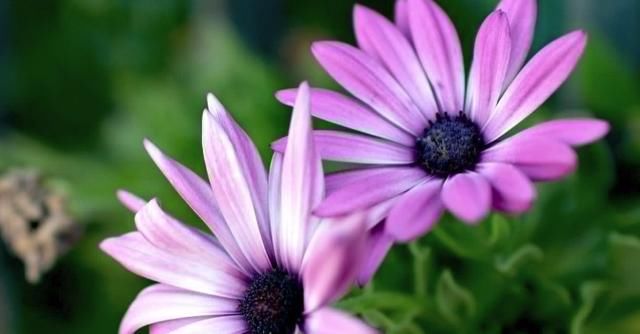 2018抖音最火的外国歌曲歌单 这几首英文歌真