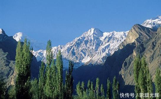 巴基斯坦水果堆积成山,中国果断出手,印度:居然