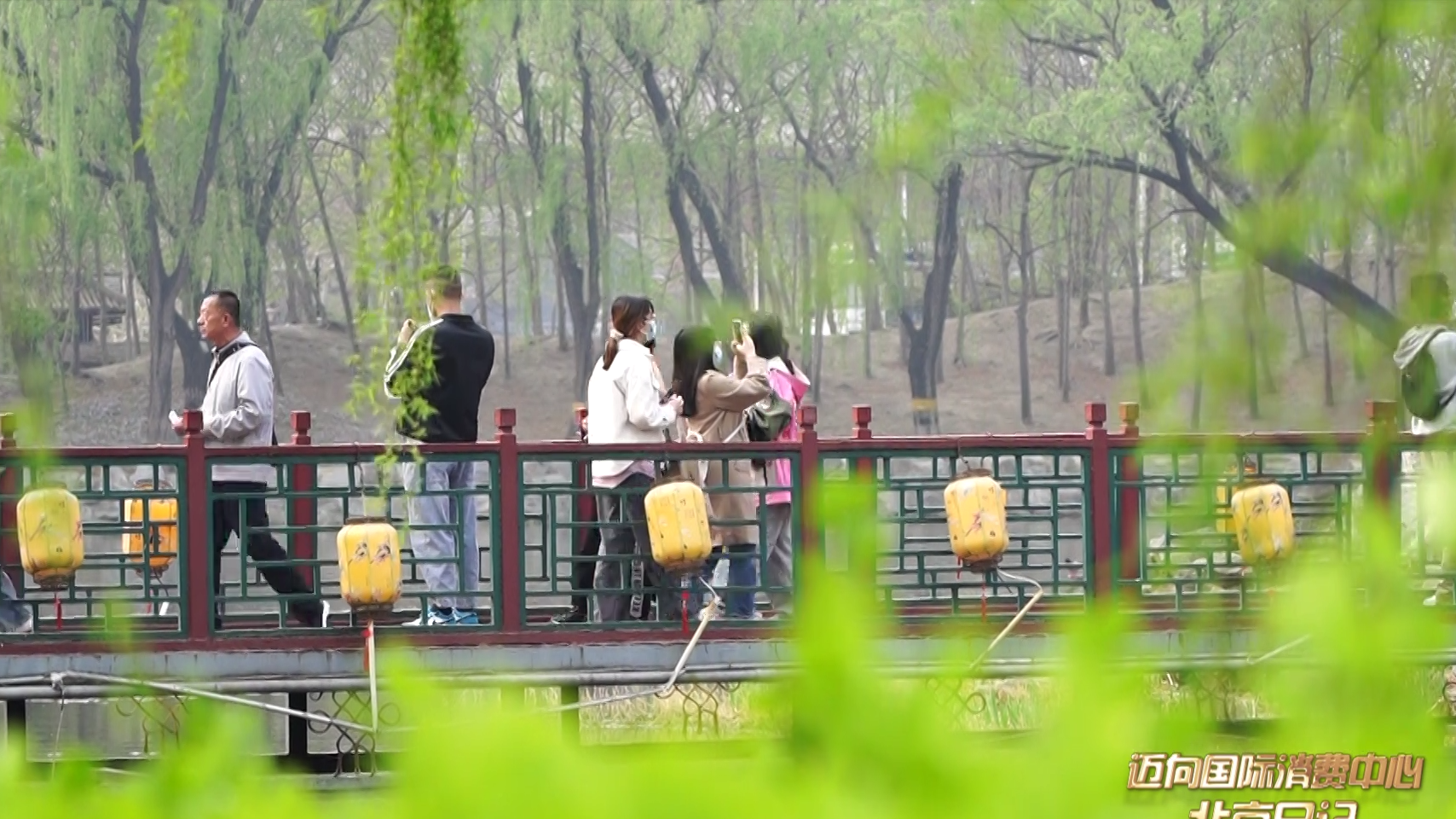 赏花观展品味园林 清明感受诗意生活 赏花观展品味园林 清明感受诗意生活