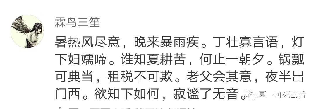 【久违的神评论系列】风暴寡妇进化史