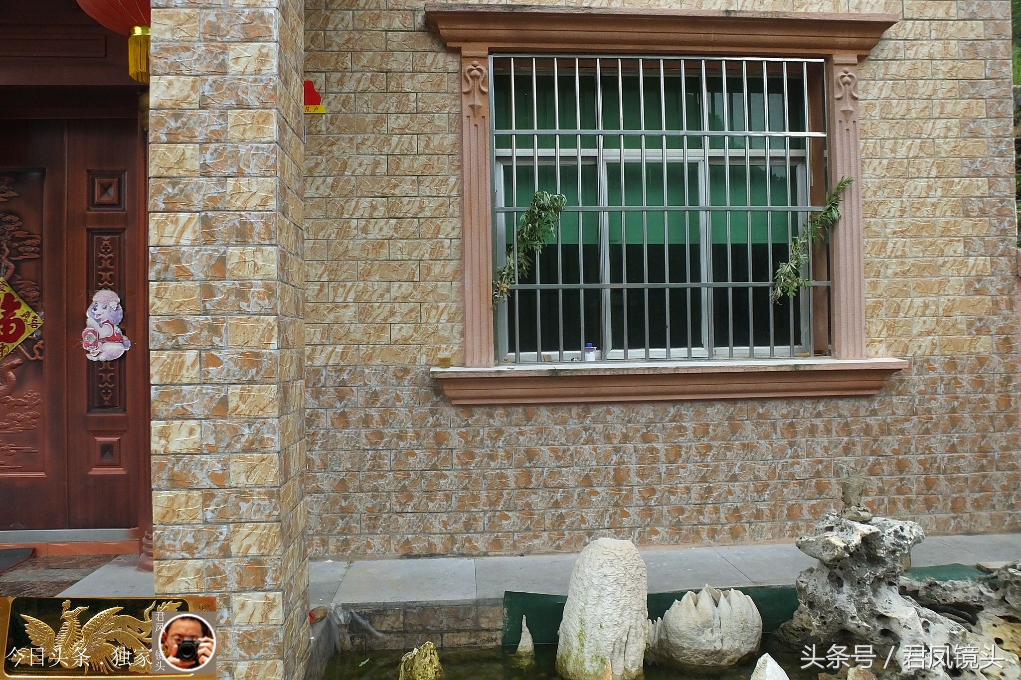 美丽乡村:农家庭院设置景观池!看看,里面有哪些