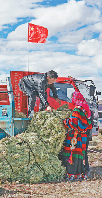 割草节上歌声扬(秋收一线) 割草节上歌声扬(秋收一线)