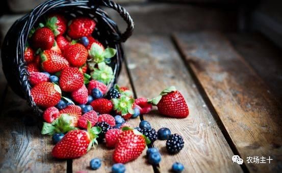 最新出炉:2018年水果种植补贴政策,快看看你能