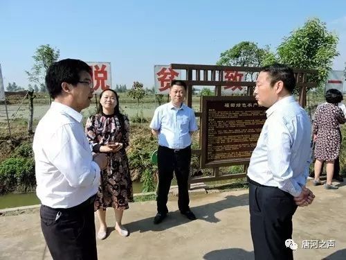 中原农险董事长毕治军到唐河调研