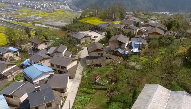 “绝地”奇迹：他们用10年，把震毁的树一棵一棵栽回去