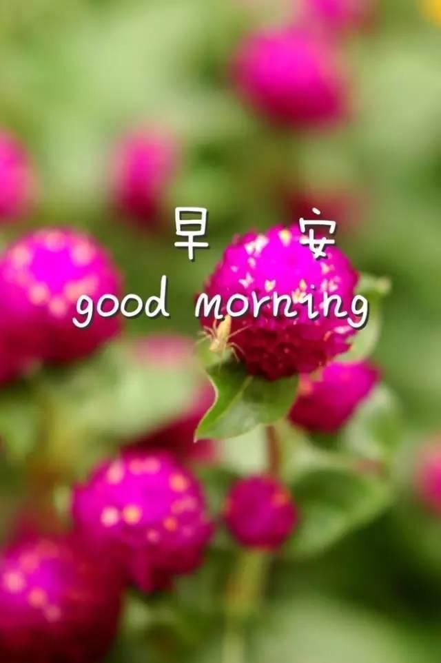 激励人不忘初心的句子 鼓励人勿忘初心的励志