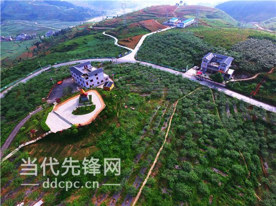 【治国理政新实践·贵州篇】农业供给侧改革的县域实践