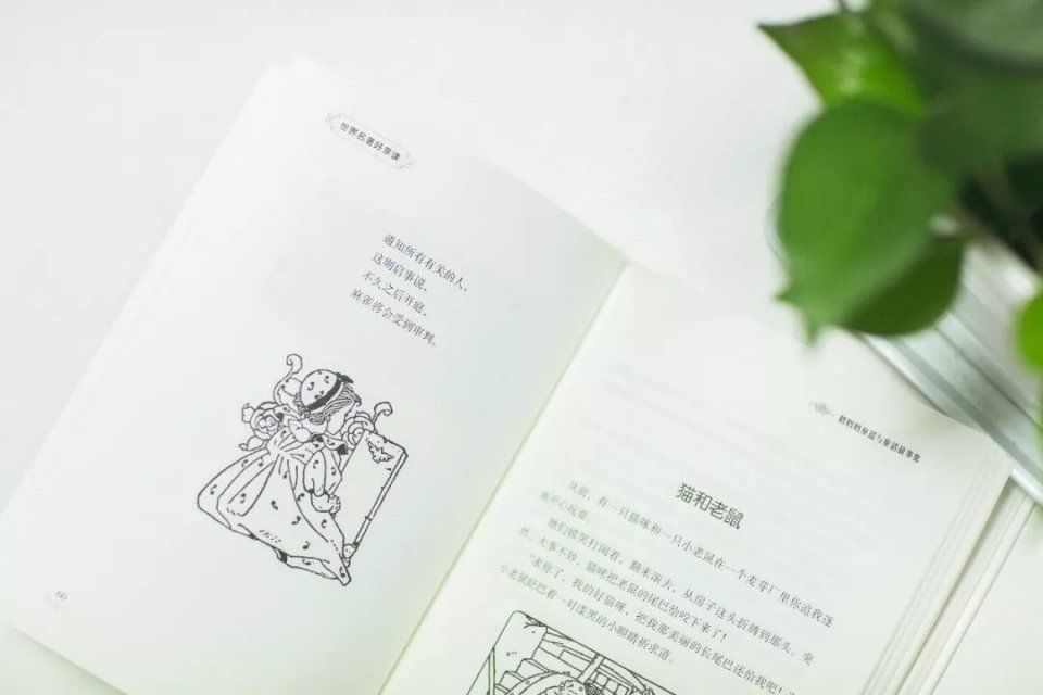 马伊俐女儿夺冠,黄多多10岁用英文写剧本:精英