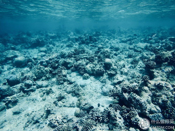 这不只是一个地方--马尔代夫悦椿薇拉瓦鲁游记