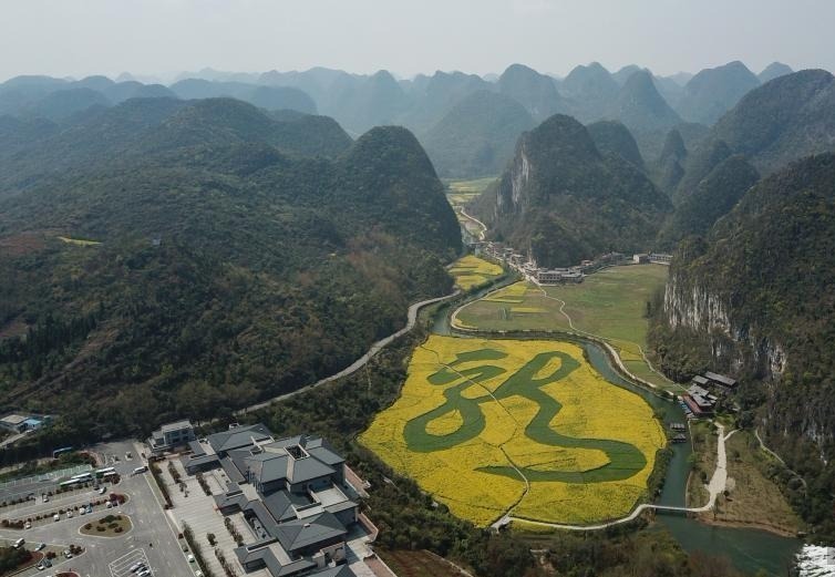 贵州安顺植物汉字"龙字田"油菜花开美不胜收