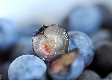 蓝莓是什么季节的水果 蓝莓几月份成熟上市