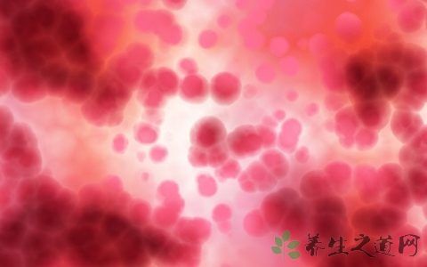 儿童白血病白细胞一般多少