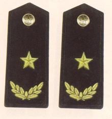 解放军各军种肩章,军衔等级(图文并茂)