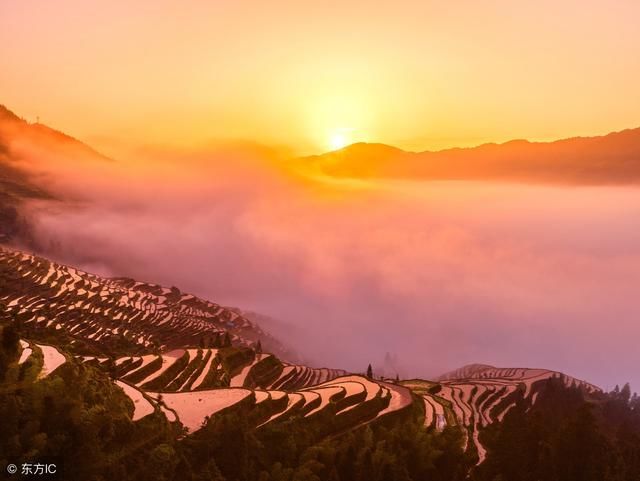 男命八字实例分析--伤官生财,财生杀克身