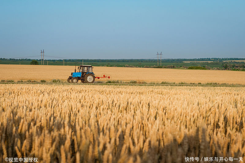 不回却月月打钱,养父去世儿媳抱盒子扛灵幡,感