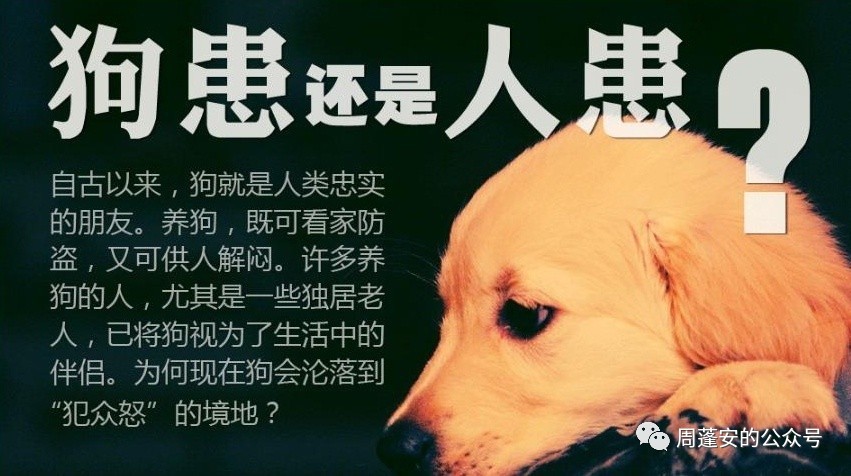 周蓬安:[晒提案]关于规范城市犬只管理的建议