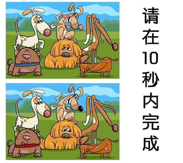 眼力找茬:前面4张图,右脑发达至少能看出20处!