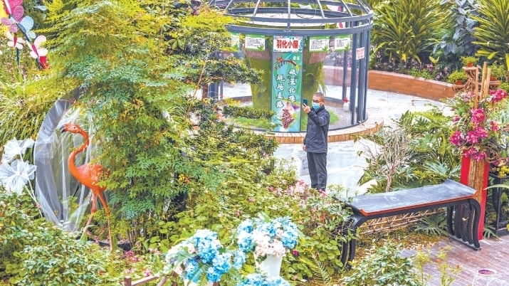 北京顺义今夏文旅活动上新趣味浓