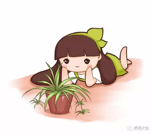 夏天扦插老不活,学会这几种方法,插啥活啥! 夏天扦插老不活,学会这几种方法,插啥活啥!