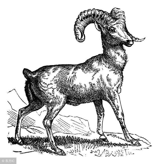 大金羊穷富有命?什么时候改运?7月1、2、3