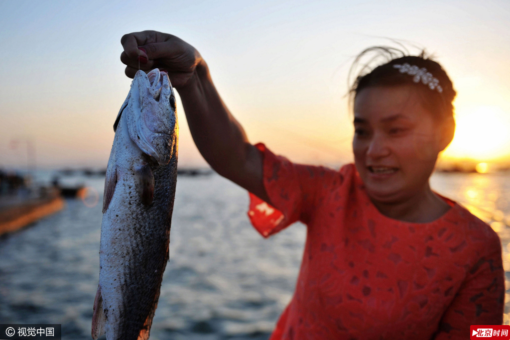 美国红鱼被垂钓者拉出水面。