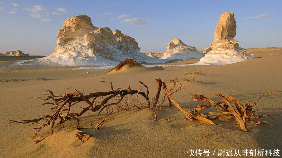 科学家逆天神技,点的沙成土术将沙漠变成良田