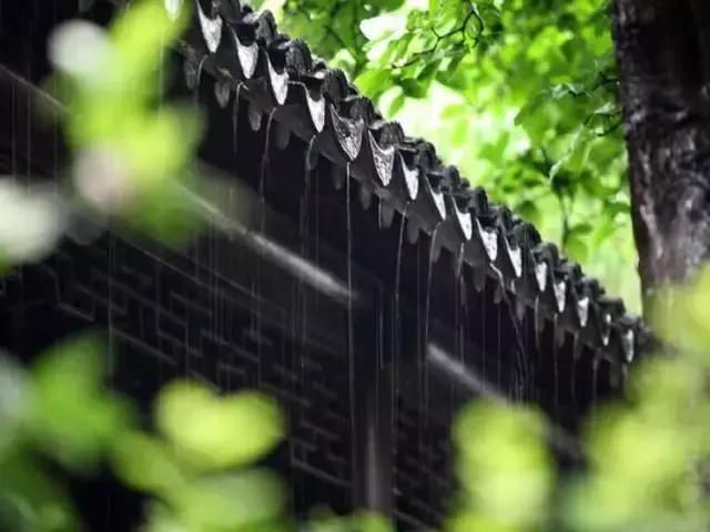 2017收视率最高的电视剧前十