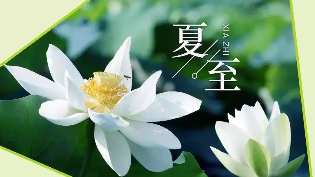 东边日出西边雨——园博内话夏至