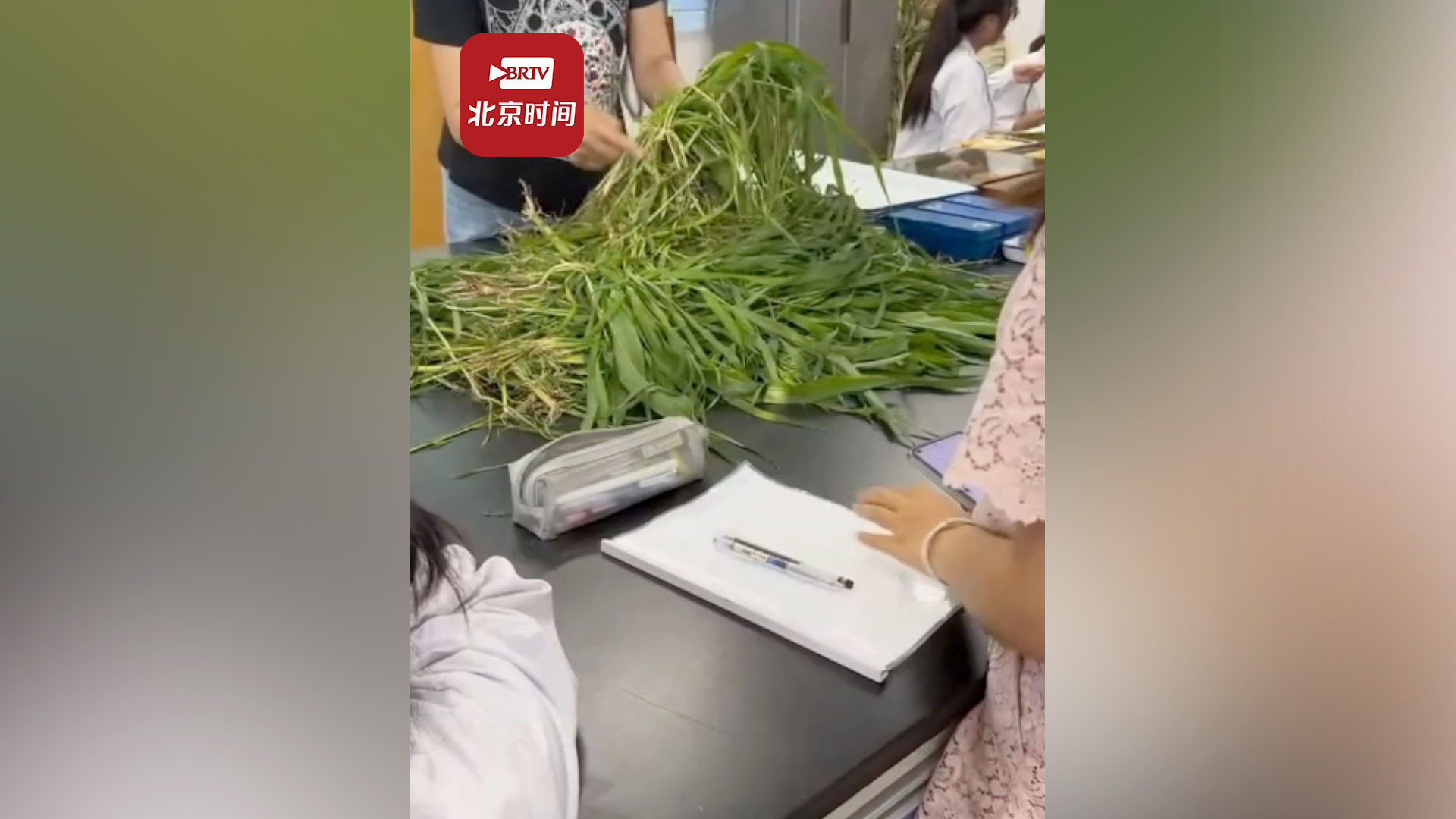 老师混合多种植物幼苗考学生 学生：挺难的，但都分辨出来了