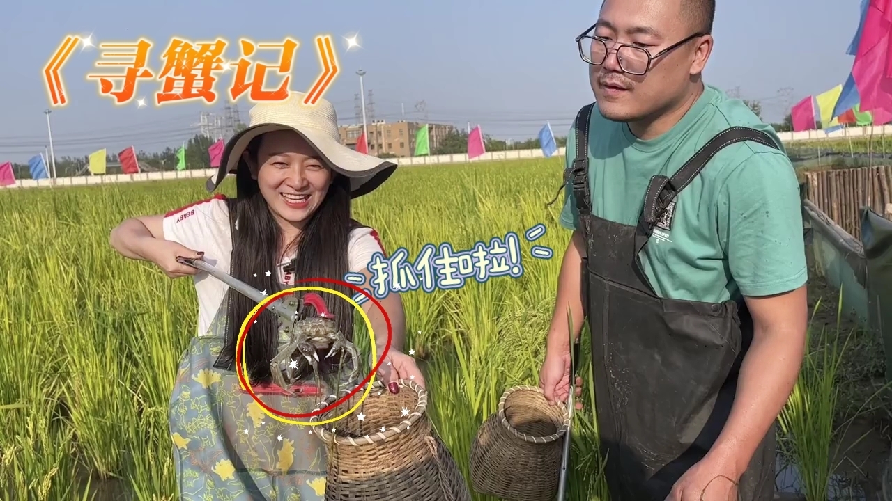 秋天的第一波螃蟹来啦，通州台湖邀您“蟹”逅金秋！