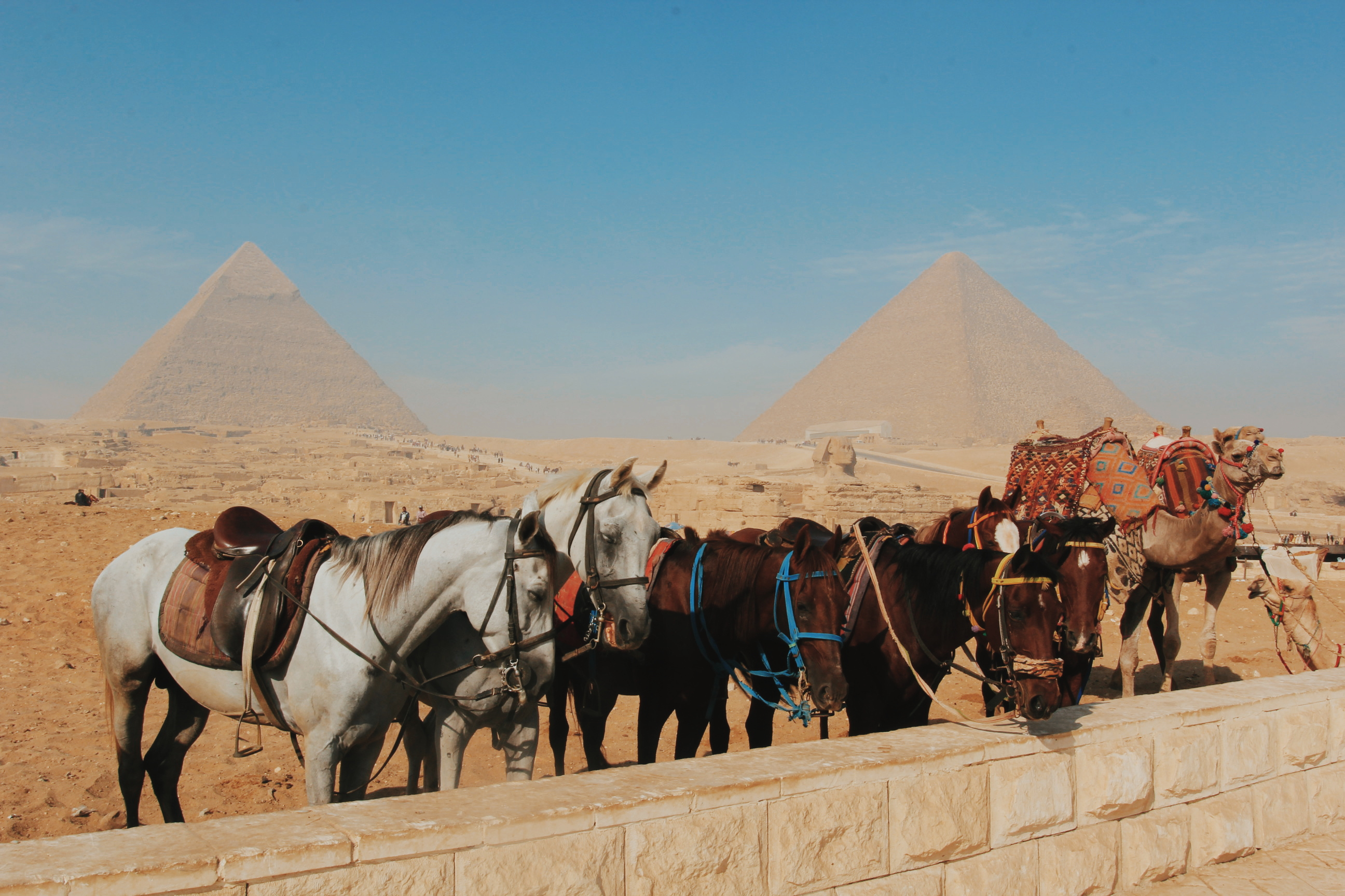 去埃及旅游,你需要特别注意的7个要点