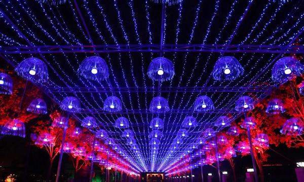 2019新春光影嘉年华在武乡县浓情上演