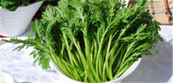 茼蒿不仅是蔬菜,还是缓解痛风良药!