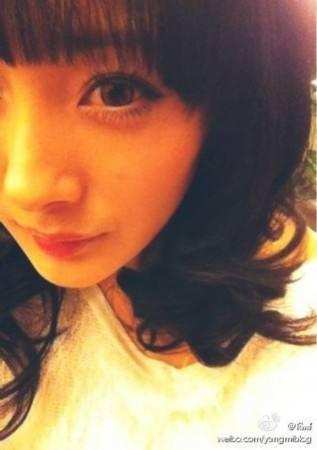 刘亦菲的微博头像简直就是杨幂, 她们之间有什