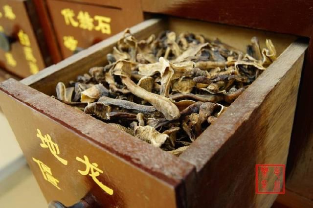 文科生可以学医吗?这几条路你可以选择,第二条