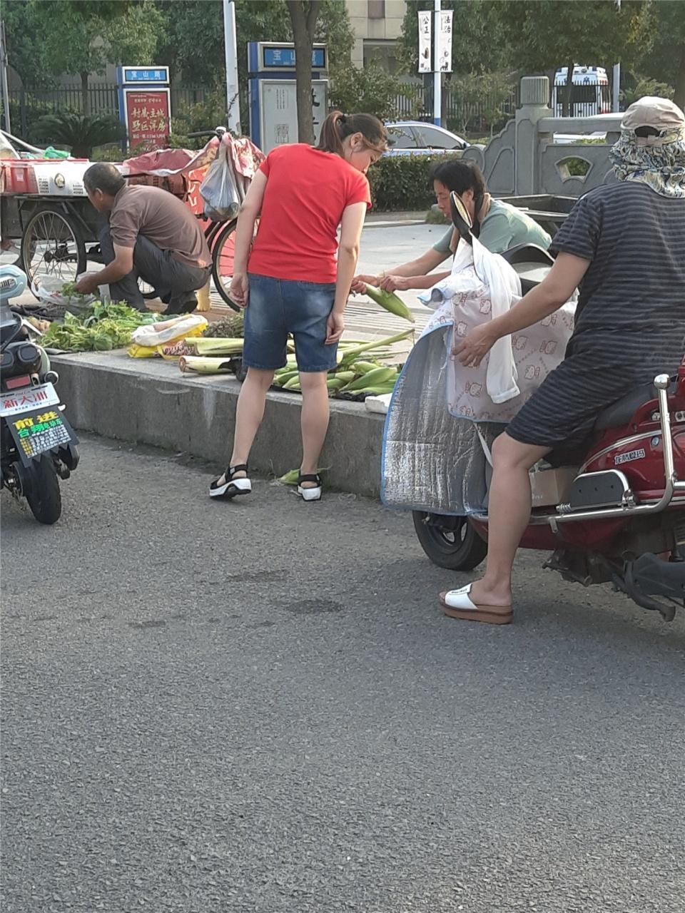 农村创业项目,乡镇上现在做什么生意赚钱,乡镇