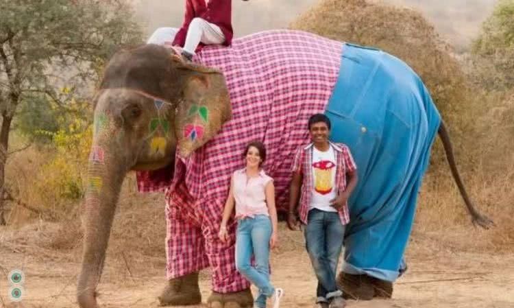 千奇百怪的宠物服装,这奇葩程度也是没谁了