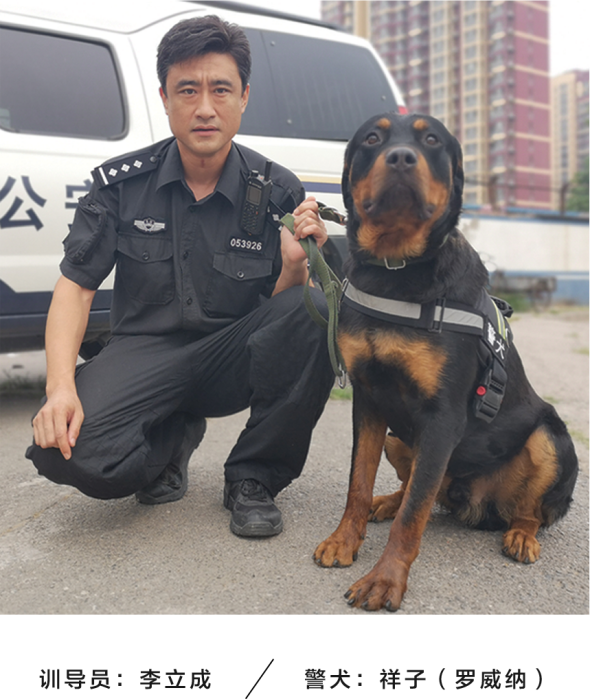 公交警犬卡通形象 七小汪 發佈七隻犬以 忠誠愛國永平安 命名 雪花新闻 公交警犬卡通形象 七小汪 發佈七隻犬以 忠誠愛國永平安 命名 雪花新闻