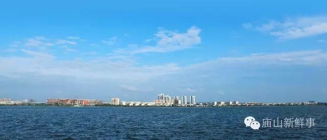 江夏PK东西湖,谁才是武汉远城区老大?网友热