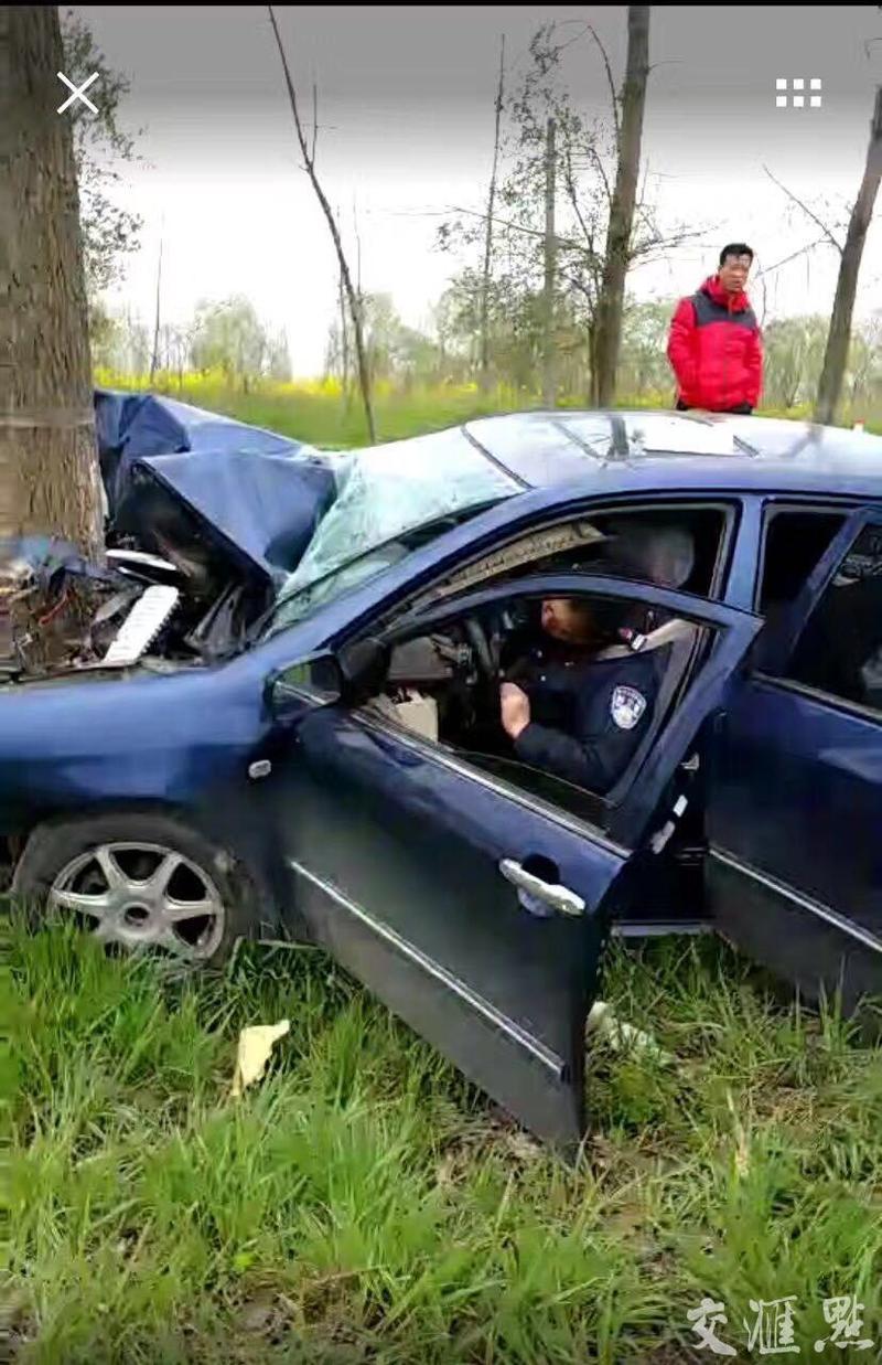 盐城大丰一辅警开车回家途中撞树身亡 同车乘客一死一伤