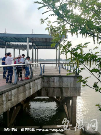 【美丽中国长江行】马鞍山:拆除82家非法码头 保护长江岸线生态 【美丽中国长江行】马鞍山:拆除82家非法码头 保护长江岸线生态