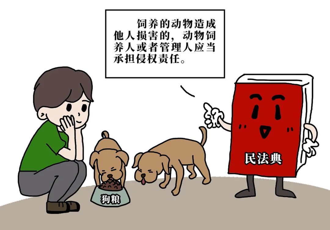 良法善治护平安|流浪狗伤人,长期定点喂养人要担责_北京时间