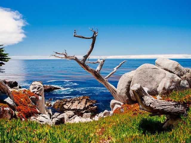 持有美国签证,可免资产材料 申请加拿大签证