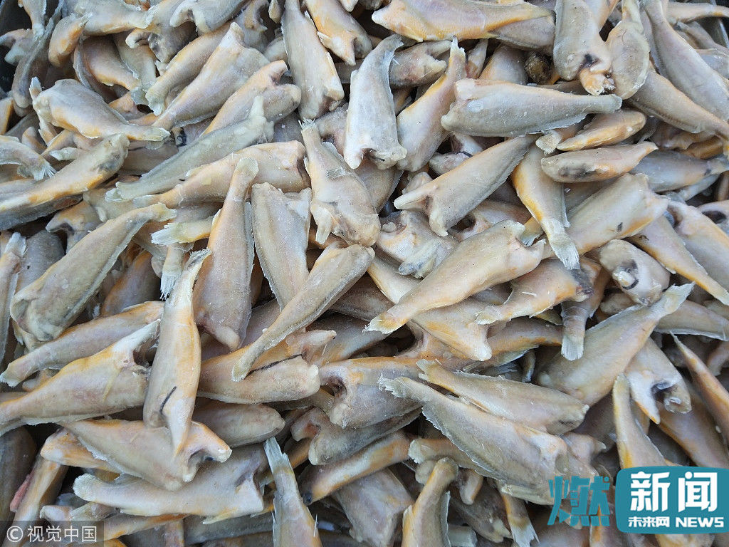 沈阳:直击寒潮下的东北街头 鱼变冰棍豆腐成冰砖