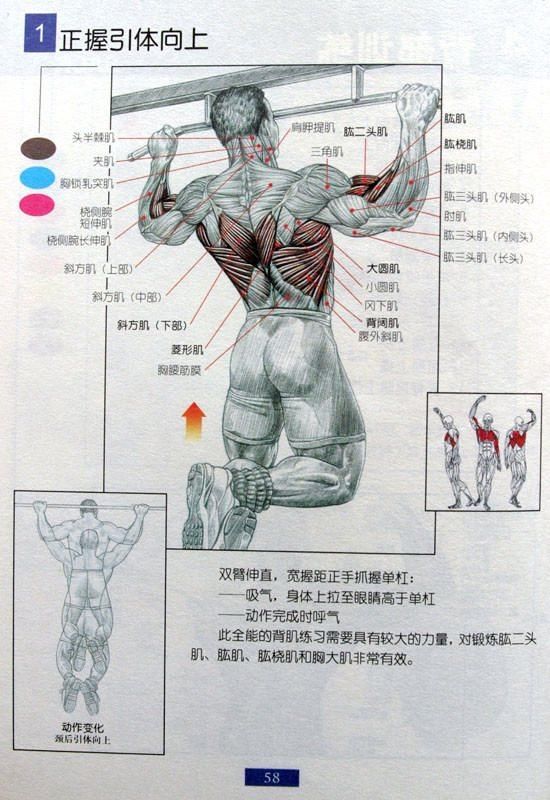 健身房内部教科书,男士健身方案,让你在家锻炼