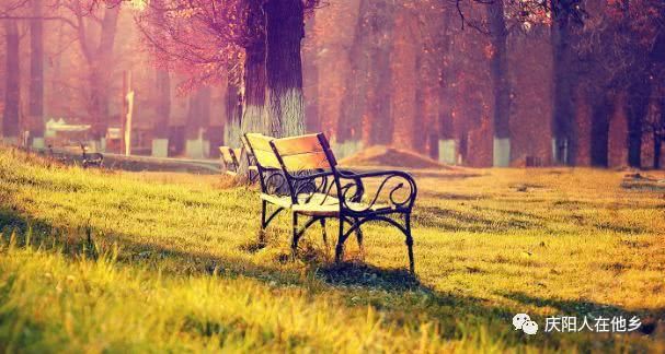 几度梦里回娘家,梦醒时分泪沾襟