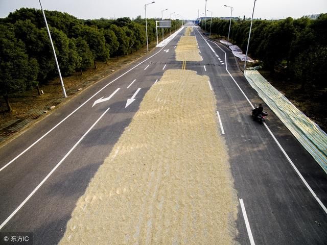 农村公路户户通,但是农民直言最担心的四点问