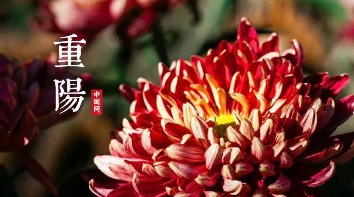 今日重阳 | 登高今夕事,九九是天长 今日重阳 | 登高今夕事,九九是天长