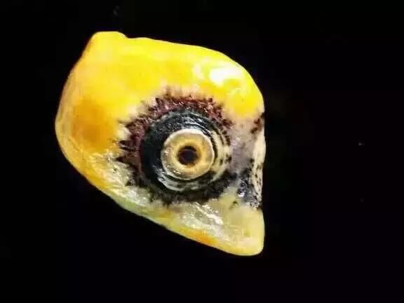 一眼万年,那些与天眼有关的句子